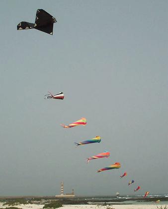 ... am Schluss drehten sich 20 Stck im Wind