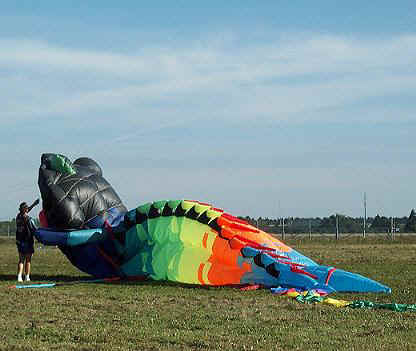 ... und ganz gro weiter machen