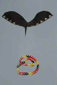 Immer ein Blickfang: Die Knpferschlange an der Drachenleine ...