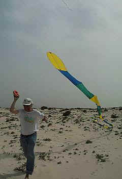 Fr den Anfang ein ideales Spaobjekt: Die Schlange