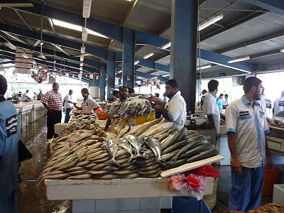 So viel frischer Fisch, und er darf nicht in die Metro ...