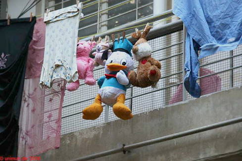 Fundsache am Nachbarhaus ...