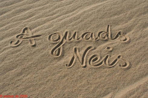 Gute Wnsche in der Weien Wste ...