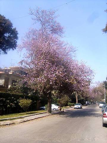 Der Winter ist endgltig vorbei ...