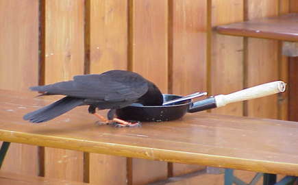 Hier schmeckts am besten, wenn die Gste weg sind ...