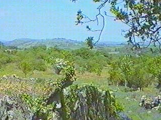 noch mehr Dartmoor ...