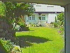 Einblick in den Garten ...