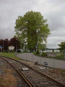 #1: Am Bahnhof von Rorschach
