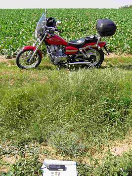 #1: Bei Arnstein: Motorradblick Richtung West ...