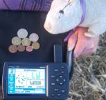 #7: Die berhmte Rennmaus und die portugiesischen Euromnzen ...