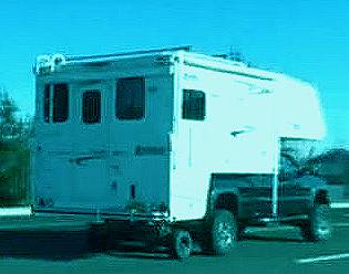 Wohnkabienen oder Wohnkawespen ..?