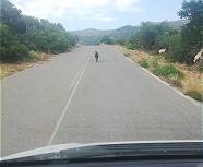 Der Preisdeckel ist auch sichtbar ...