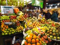 Obst, soweit das Auge reicht ...