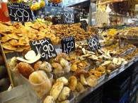 Alles fr die Pilzpfanne ...