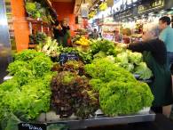 Nicht nur fr Kaninchen ein Eldorado - der Salatstand ...