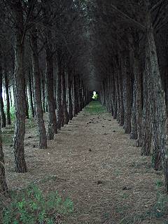 Extrem abwechslungsreiches Gelnde ...