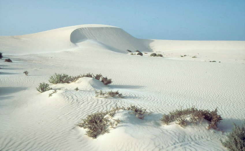 Dnenlandschaft im Norden: Bei Corralejo ...