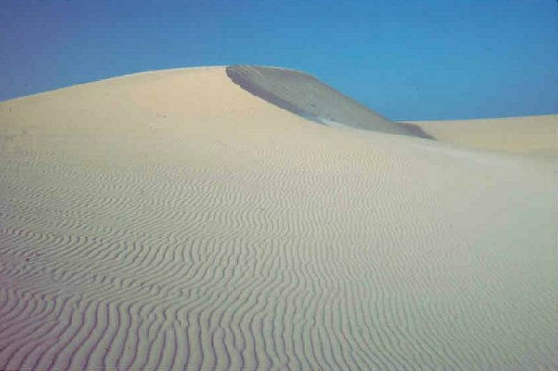 Dnenlandschaft im Norden: Bei Corralejo ...