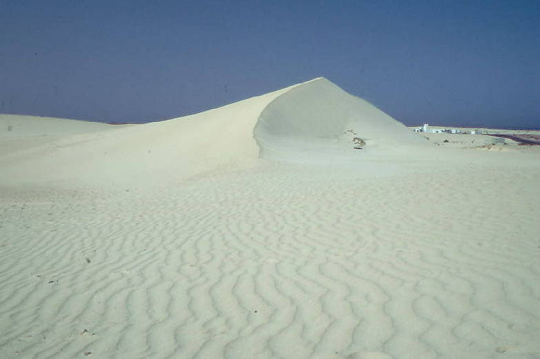 Dnenlandschaft im Norden: Bei Corralejo  ...