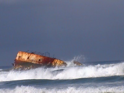 ... bringt auch mehr Hintergrund fr die AMERICAN STAR ....