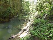 Neuseeland: Natur pur ...