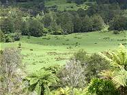 Noch weites Land oder schon das Paradies ..?