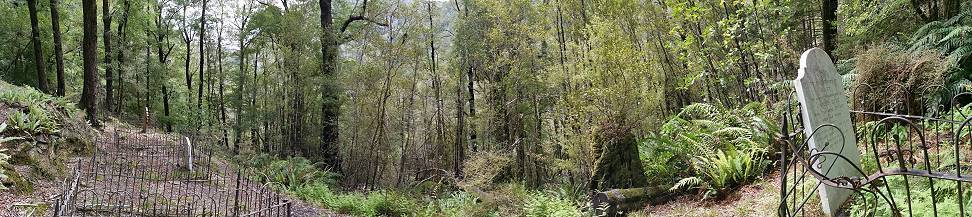 Unterwegs in Neuseelands Wldern ...