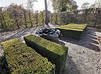 Bildmitte (35) Rudi Molacek: Rose (1999)