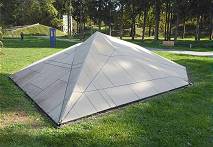 (60) Peter Sandbichler: Tiger Stealth (2009)