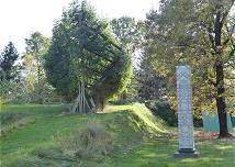 links (64) Mario Terzic: Arche aus lebenden Bumen (2010), rechts (09) Fritz Hartlauer: Senkrechter Auszug aus der Urzelle (1982-1984) 