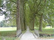 Ab durch die Mitte: heute bepflanzter Park