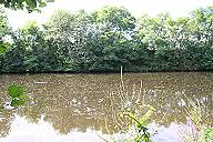 Auf dem Weg zur Marina ...