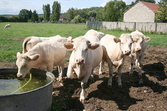 ... dann alle hier ... ;-))