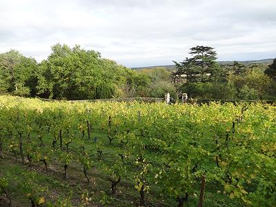 Weingut Coule de Serrant