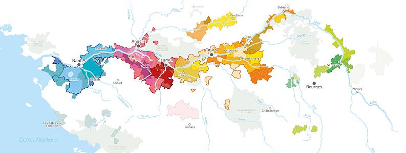 Weinanbau an der Loire ...