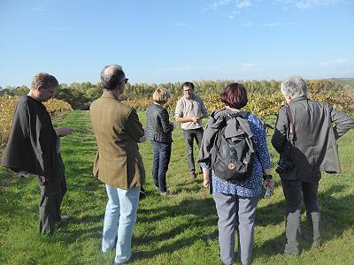 Im Weinberg mit Pierre Chauvin ...