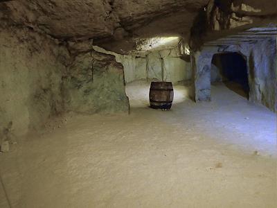 Hier fhlen sich die Pilze wohl ...