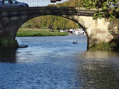 Schöne Brücken, auch schon mal mit Radarkontrolle Schöne Brücken, auch schon mal mit Radarkontrolle