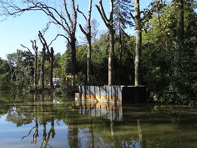 Fällen ... Fällen ...