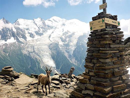 So viel wie ntig, aber so wenig wie mglich transportieren ...