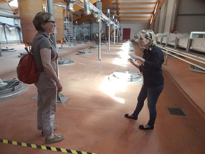 Winzergenossenschaft Vacqueyras - noch industrieller ...