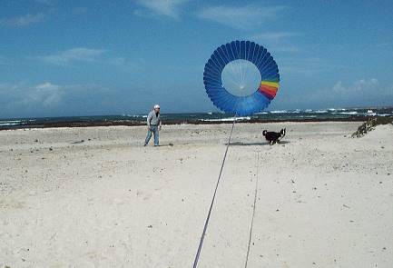 Auch fr Hunde hochinteressant: Das Jumping Wheel ...
