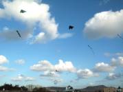 Fiesta vor dem Maravilla - es geht auch in El Cotillo ...