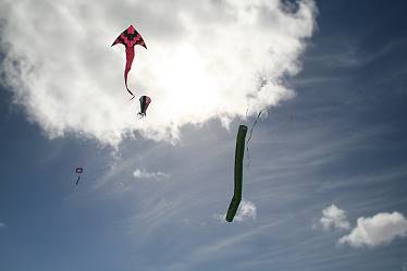 Bei Touristen gern gesehen ...