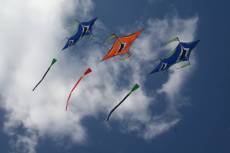 Auch ein neuer Xelon dabei  ...