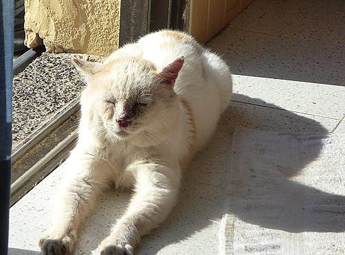 Groe Freude: Alle guten Bekannten leben noch ...