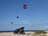 Magazin-`Flagge muss sein und diesmal auch wieder der Black Opal ...