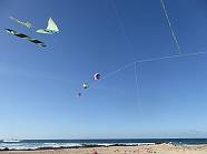 Filigranes am Himmel ...