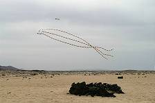 Neukonstruktionen mit dabei ...