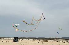 Bewhrung auch bei strkerem Wind?